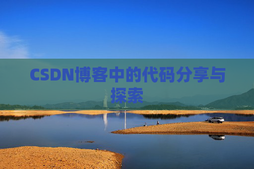 CSDN博客中的代码分享与探索